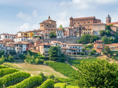 Alba UNESCO Castle & Barolo Wine Tour
