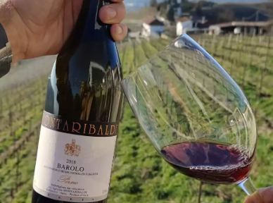 Barolo & Barbaresco Wine Tour